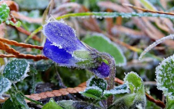 Csapadékos, téli idővel indul a december