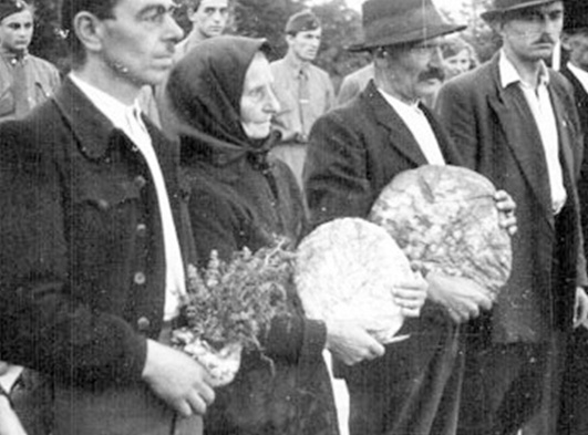 Országunk oszlopa