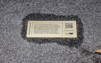 Tisztelgés Fekete István előtt: emléktáblákat helyeznek el a város több pontján