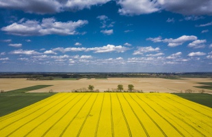 Újabb hidegfront érkezik, de mögötte visszatér a tavasz