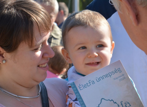 99 új levélke hajtott ki az életfán