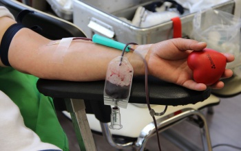 Véradási lehetőségek Kaposváron ezen a héten