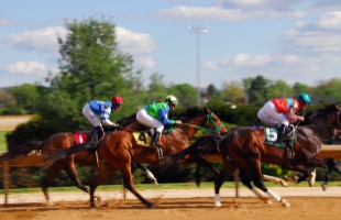 Okok, amiért sokan kedvelik az élő sportfogadást