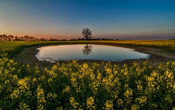 Vasárnap ismét lehűl az idő a kora nyárias időjárás után
