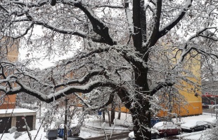 Kint dolgoznak a hotolók, a traktorok is elindultak a kertvárosokban