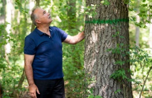 További támogatást kapnak az erdészeti és természetvédő civil szervezetek