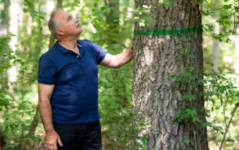 További támogatást kapnak az erdészeti és természetvédő civil szervezetek