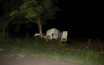 Fának ütközött egy autó szombat éjjel, a 39 éves sofőr a helyszínen meghalt