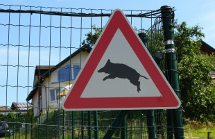 STOP! a vadkároknak Kaposváron