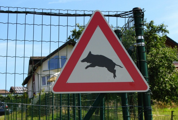 STOP! a vadkároknak Kaposváron