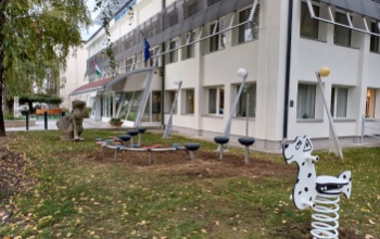 Kutyát kapott 