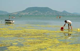 Megjelent a vizsgálat a Balaton vízminőségéről