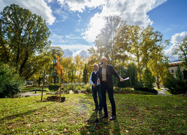 Tölgyfát ültettek Csik Ferenc emlékére a kaposvári Színházparkban