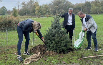 Faültetés a távfűtőműnél