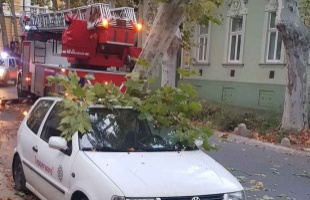 A fákat és a vezetékeket tépázta meg a szerdai vihar Kaposváron