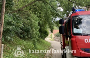 Viharkárokhoz riasztották a somogyi tűzoltókat