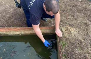 Telefont lopott az idős férfi, aztán a kacsaitatóban rejtette el