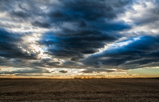 Télből tavasz: jelentősen enyhül az idő