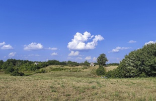 Hőség, forróság