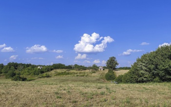 Hőség, forróság