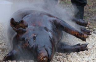 A disznótor Somogyban