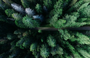 A Ropolyi pihenőhely, a Zselici Csillagpark és a Hotel Kardosfa sem lesz elérhető a 67-es út felől