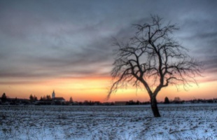 A héten minden kiderül