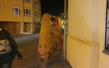 Még hogy kihaltak...T-rexek rohangálnak Kaposváron