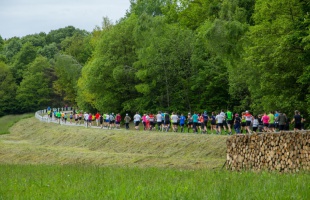 Átmeneti útlezárások lesznek szombaton a Zselici Csillagpark közelében