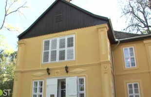 Rippl-villa: az utolsó ecsetvonások