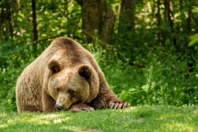 A kép illusztráció! Fotó: Pixabay