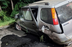 Vaddal ütközött – rommá tört a Suzuki