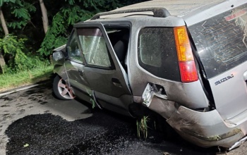 Vaddal ütközött – rommá tört a Suzuki
