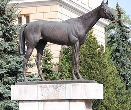 Volt egy ló