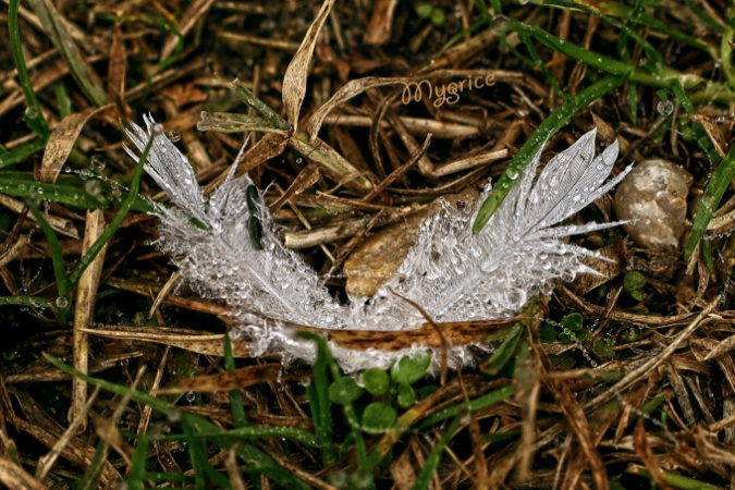 Mosolyogjunk a világra