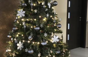 Liza karácsonyfája