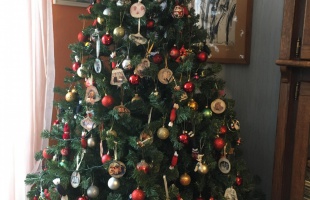 Zsuzsa karácsonyfája