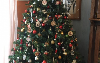 Zsuzsa karácsonyfája