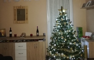 Szaszuskáék karácsonyfája