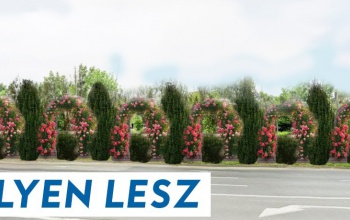 Látványterv is készült az Áchim András utcai fasorról
