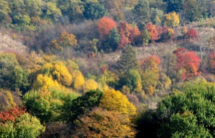 HungaroMet: átlag közeli hőmérsékletű és száraz volt az október