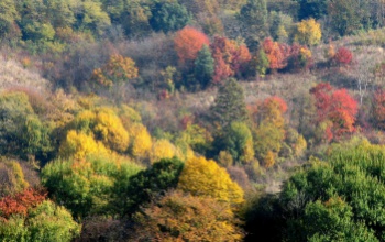 HungaroMet: átlag közeli hőmérsékletű és száraz volt az október