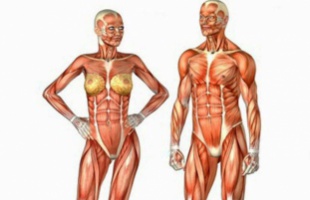 Oktatási célból vetkőzött a tanárnő biológiaórán