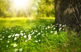 Hamarosan visszatér a nyári idő