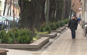 Favermeket burkolnak vissza a Németh István fasoron