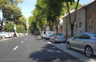 Idős fákat metszenek a Németh István fasoron, parkolót zárnak le