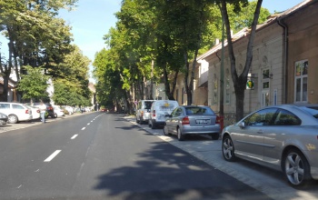Idős fákat metszenek a Németh István fasoron, parkolót zárnak le