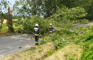 Ha a vihar az autóban ér - A balesetveszélyre figyelmeztet a katasztrófavédelem