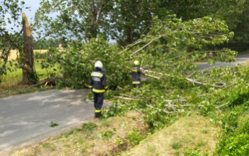 Ha a vihar az autóban ér - A balesetveszélyre figyelmeztet a katasztrófavédelem
