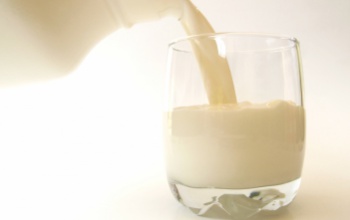 A tej lesz az első GMO-mentes magyar élelmiszer
